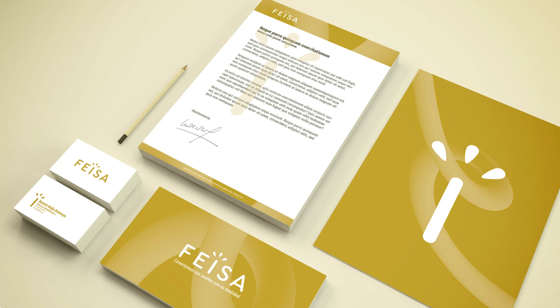FEISA — sistema de identidad y comunicación institucional